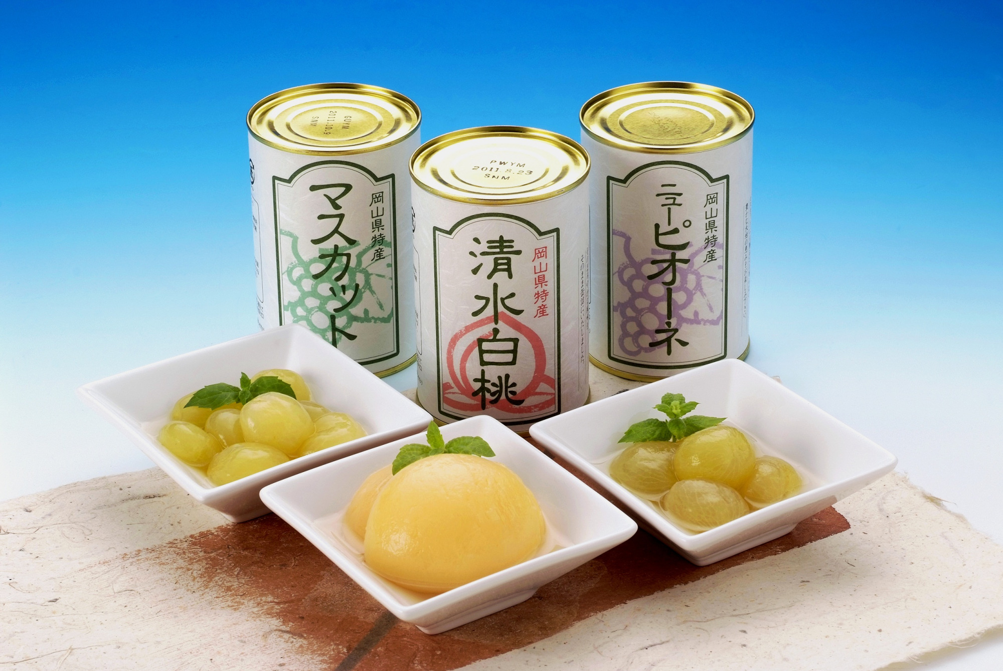 株式会社角南製造所