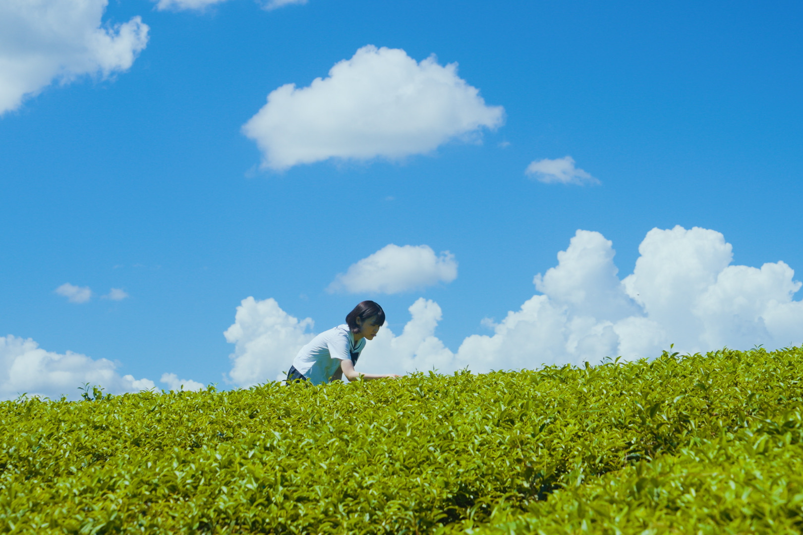 短編映画『美作物語』