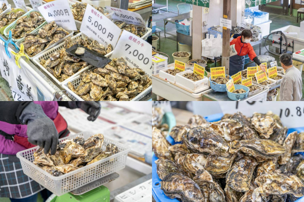 《直売所紹介》
