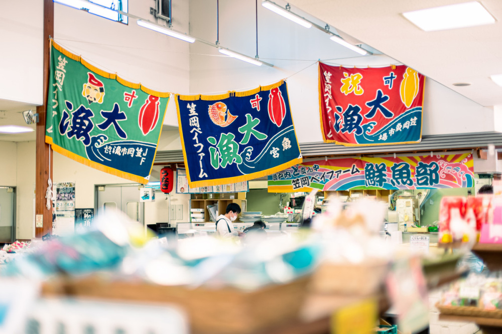 《ココ寄って行こう!》