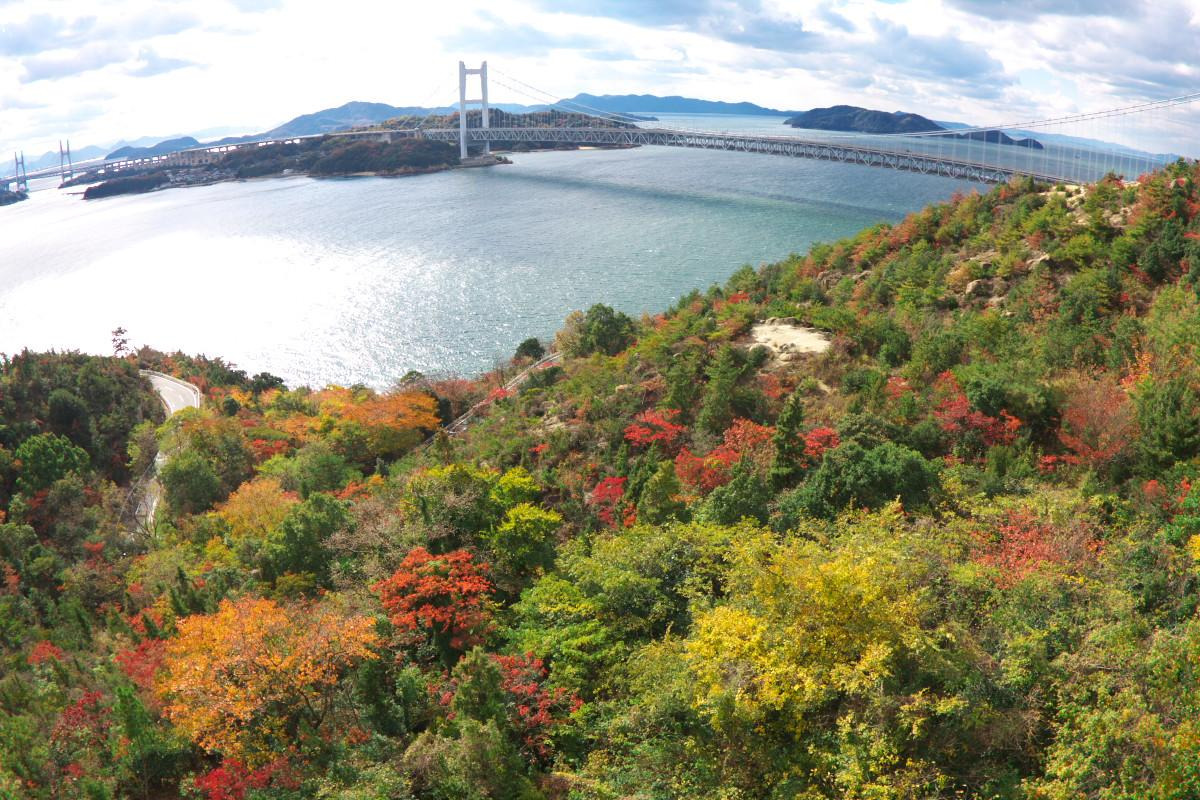 鷲羽山の紅葉（第二展望台）