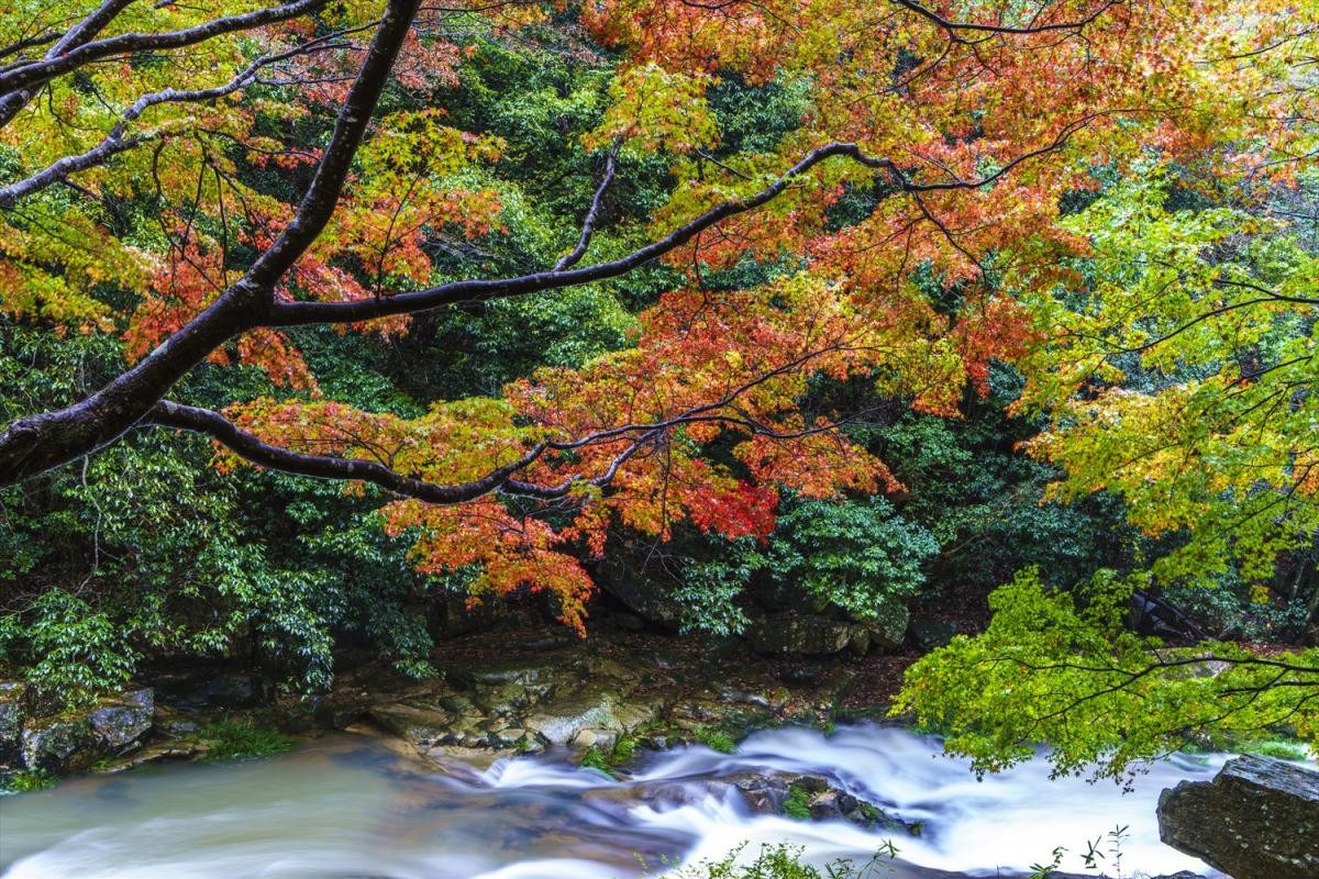 豪渓（総社市）