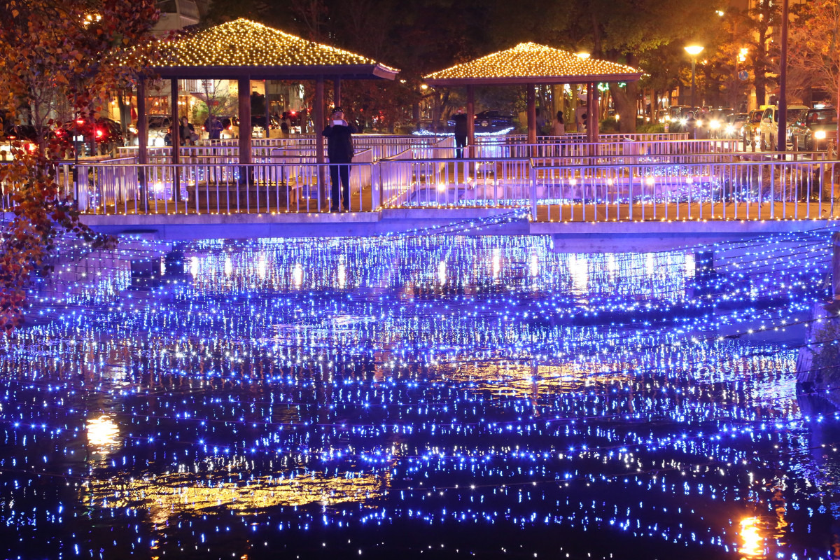 西川イルミ(岡山市)