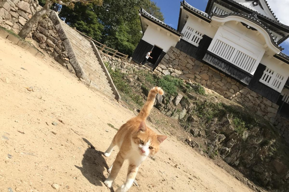 お散歩中のさんじゅーろー