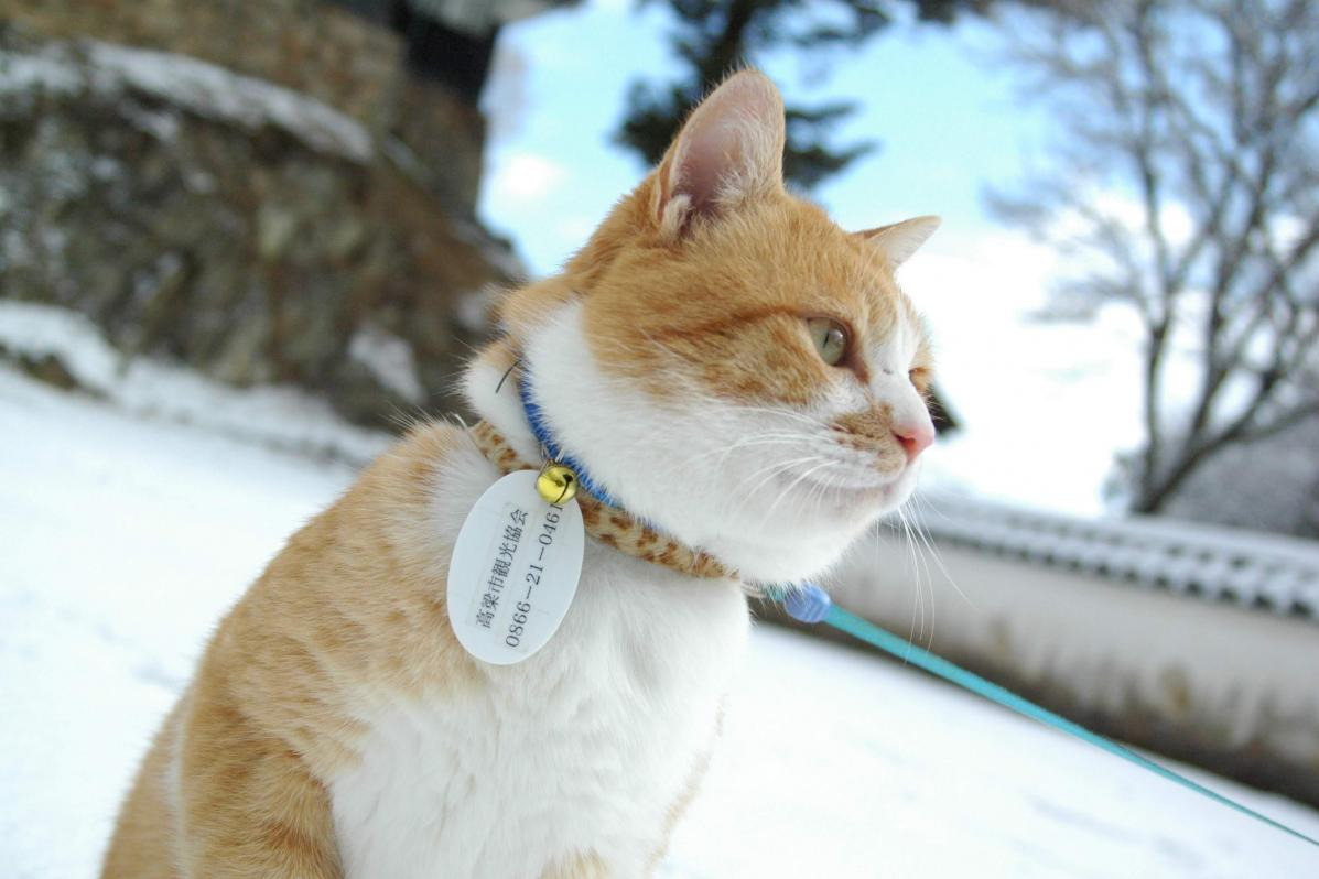雪の日に・・・