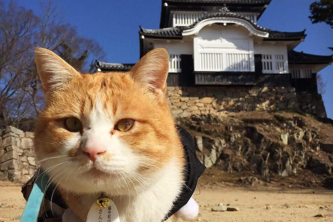 お城をバックに