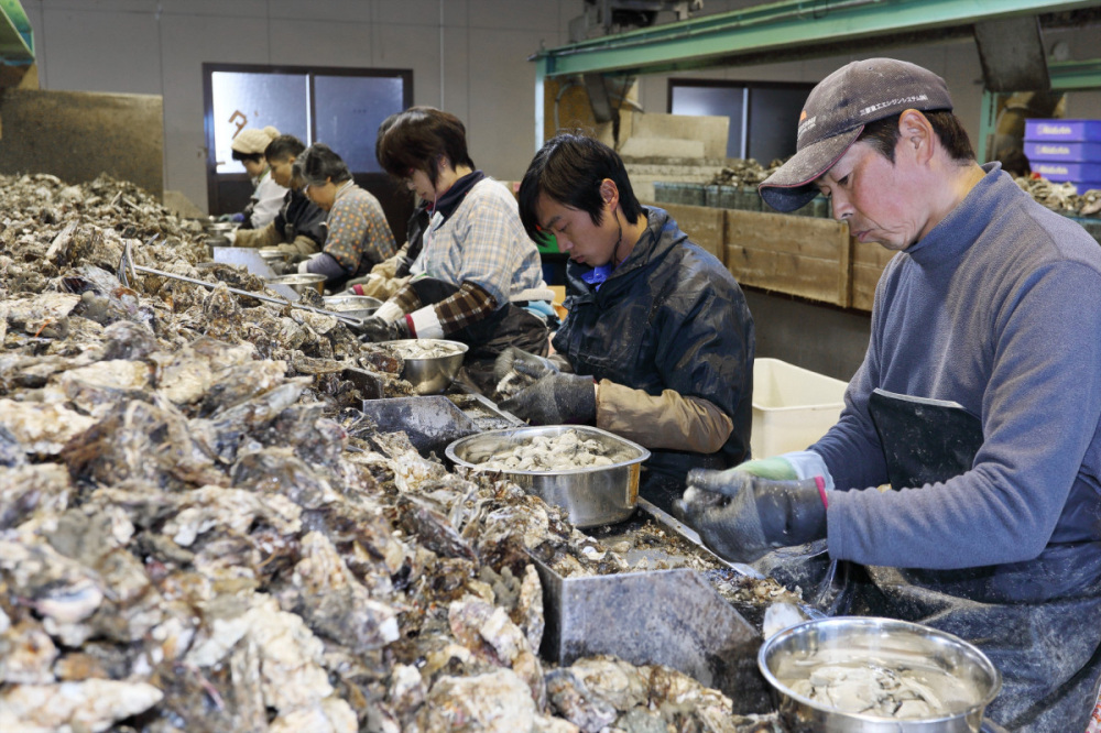 ふるさと納税でもらおう
