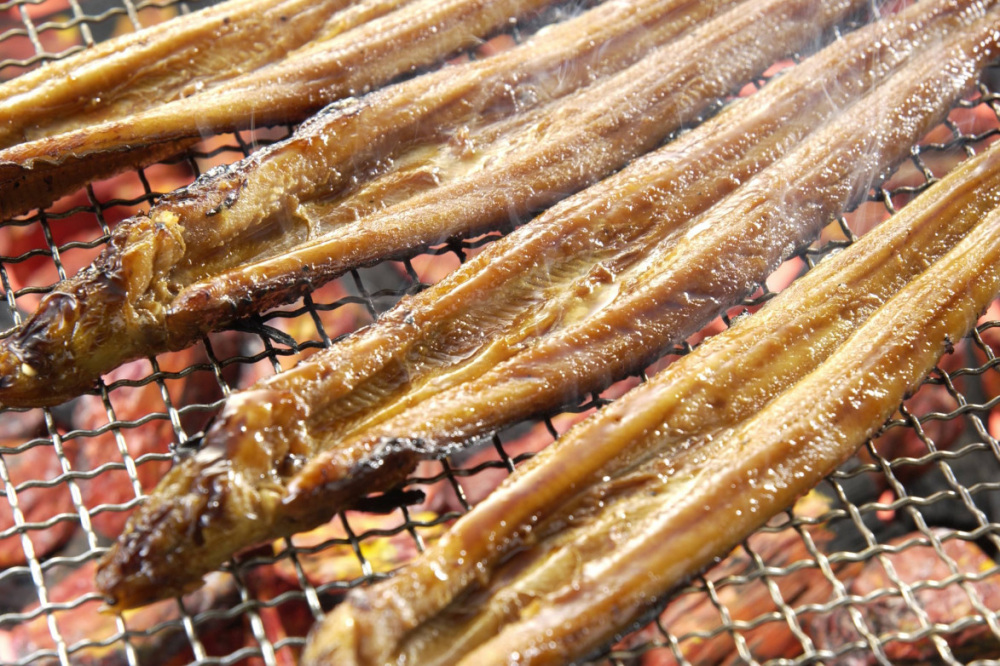 ふるさと納税でもらおう