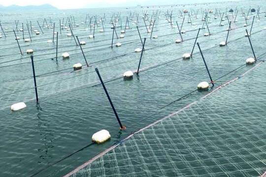 浮き流し式の網