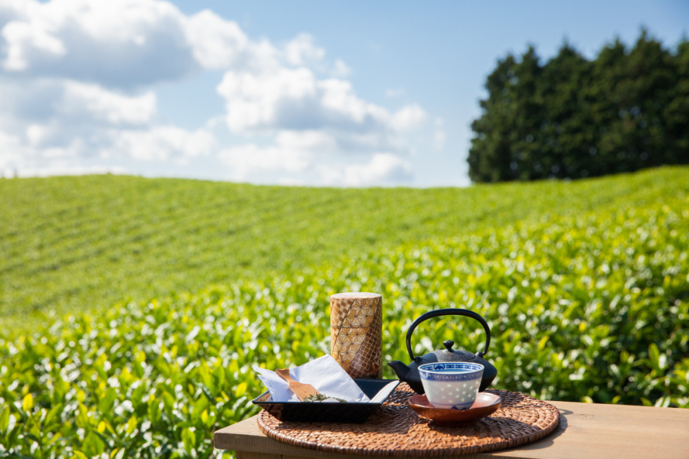 ふるさと納税でもらおう