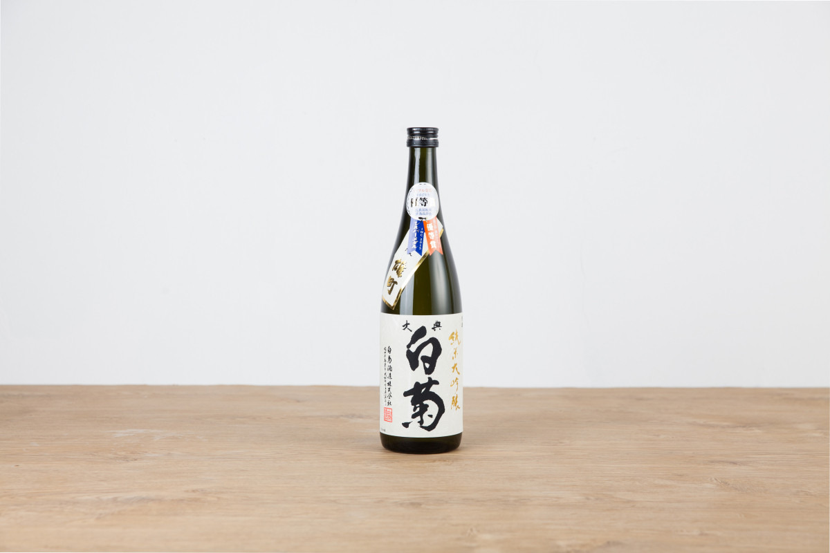 大典白菊