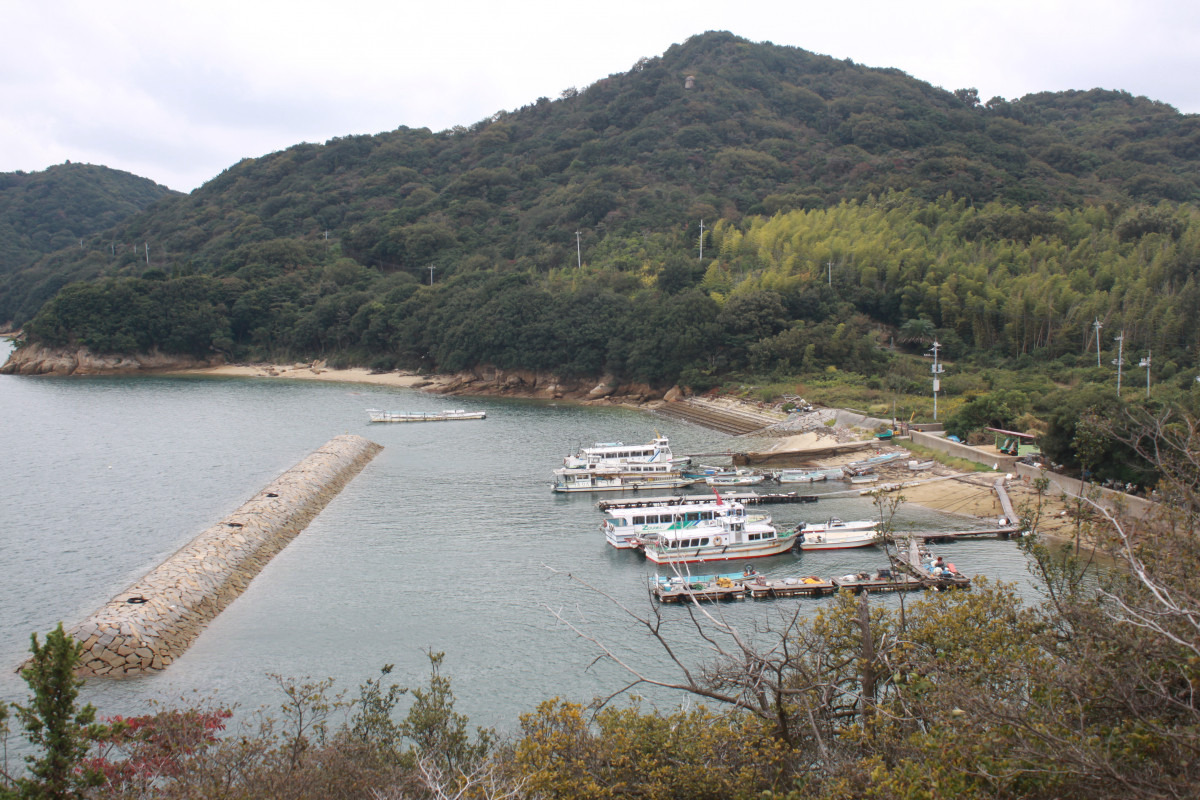 六口島