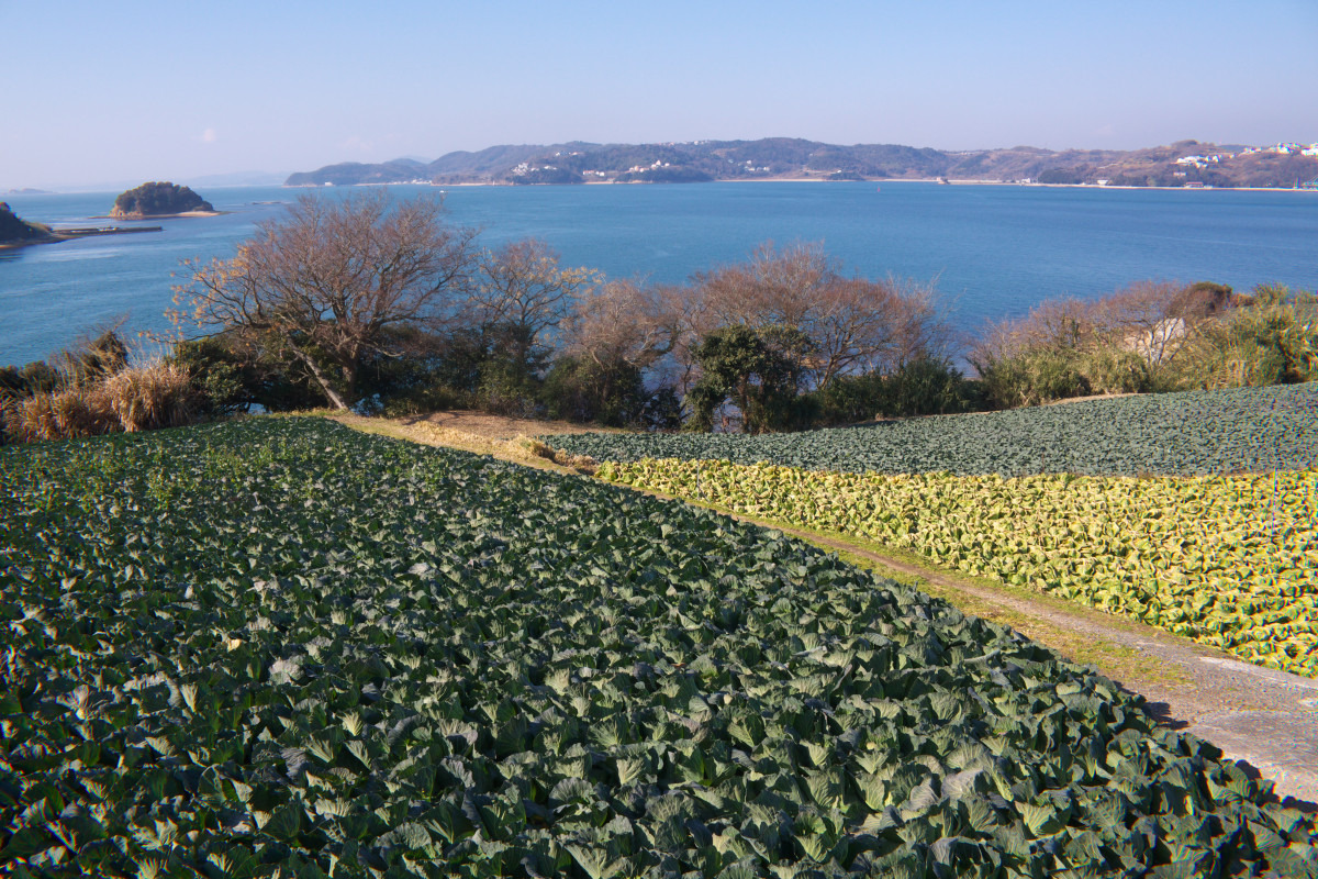 前島