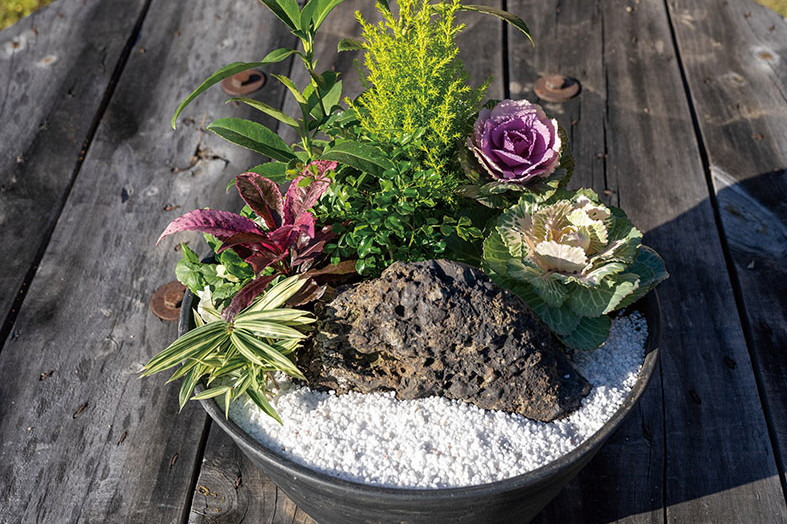 寄せ植え体験
