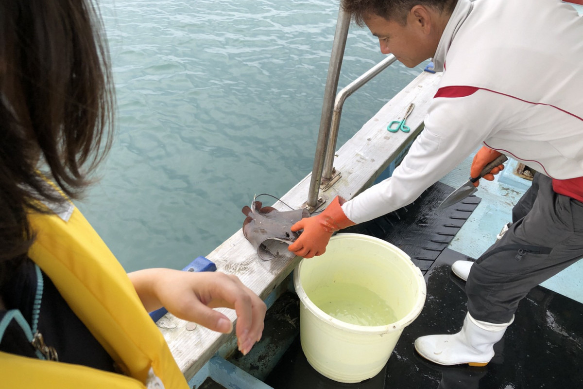 底引き網漁体験