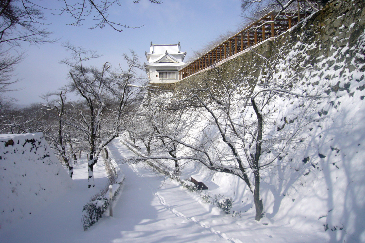 津山城（冬）