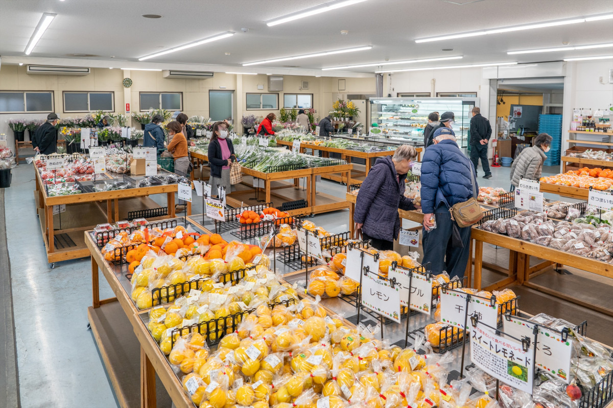 道の駅みやま公園