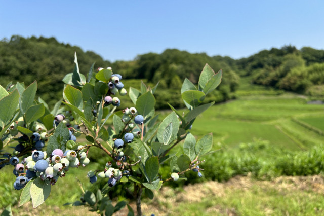 小林農園 古那志屋