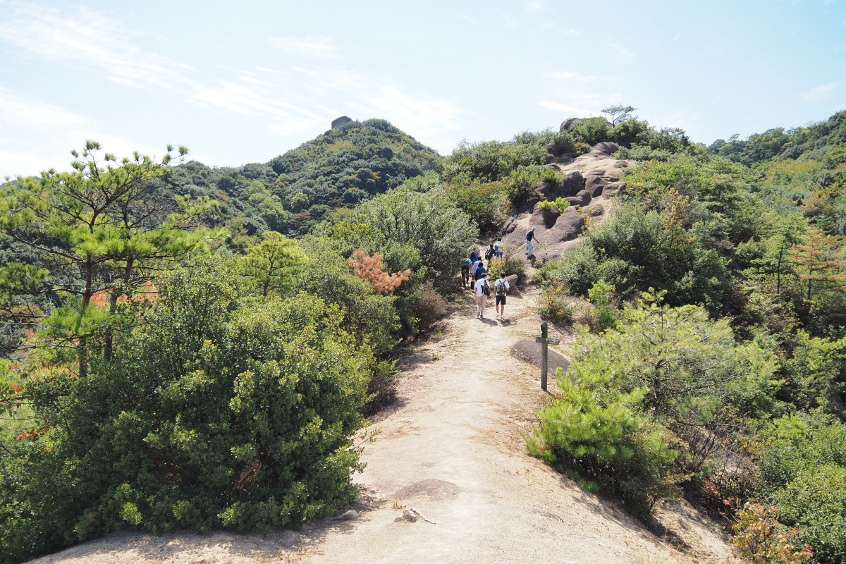 ハイキングコース
