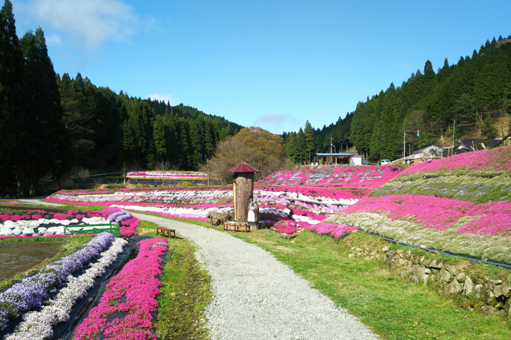 その他のイベントもチェック！