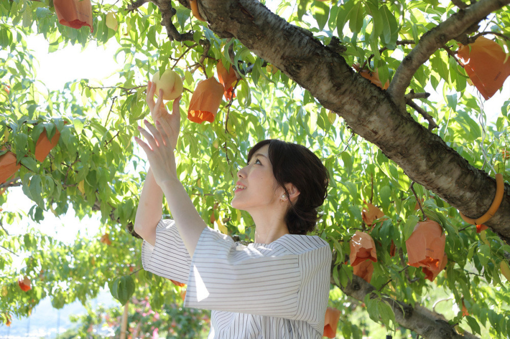 白桃狩り
