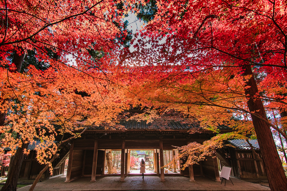 曹源寺（岡山市）