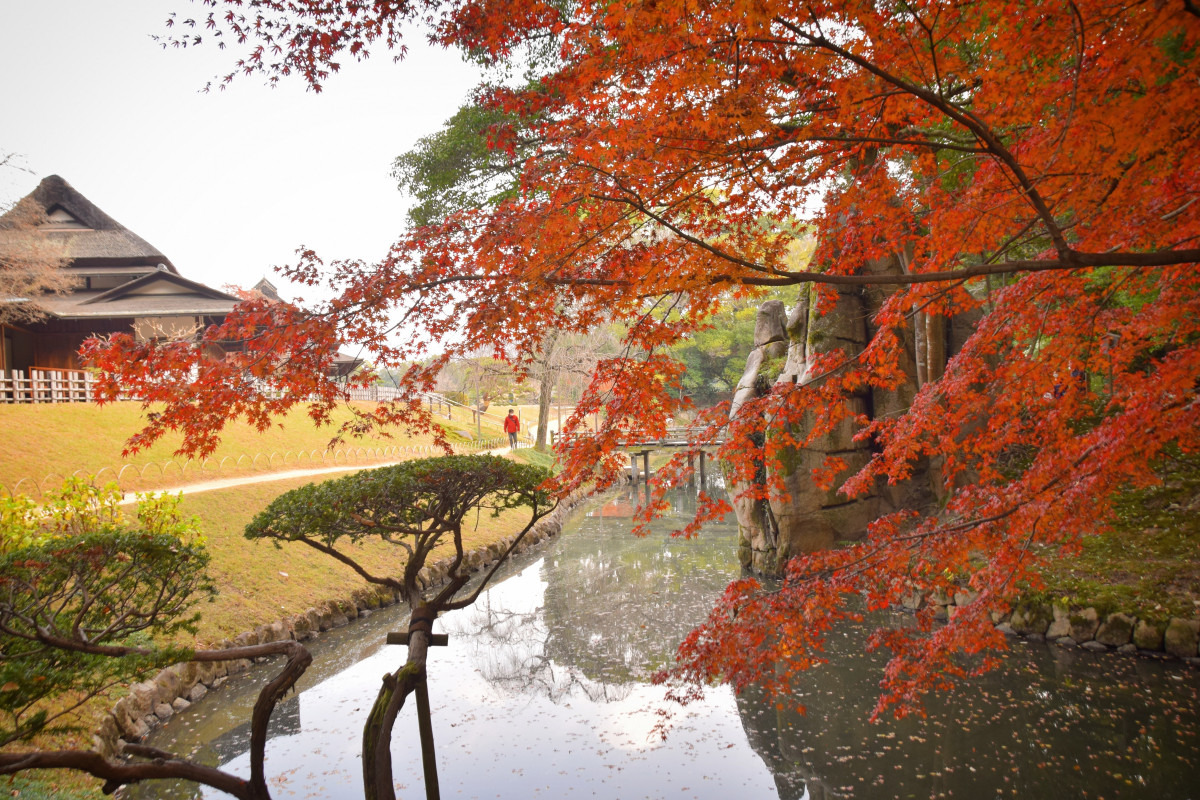 岡山後楽園（岡山市）