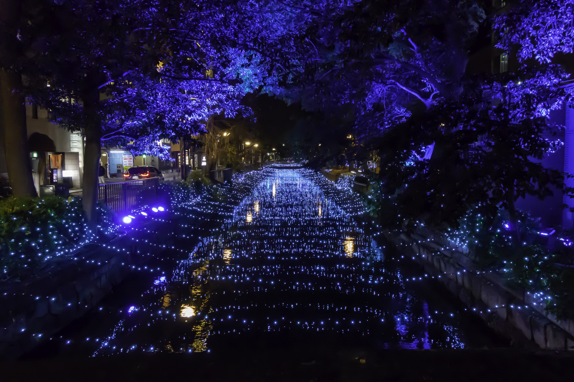 西川緑道公園　イルミネーション（岡山市）