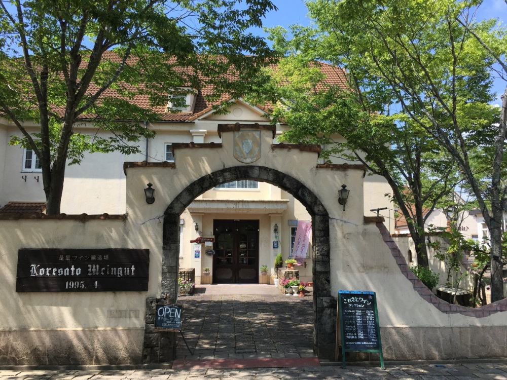 是里ワイナリー(これさと) 基本情報