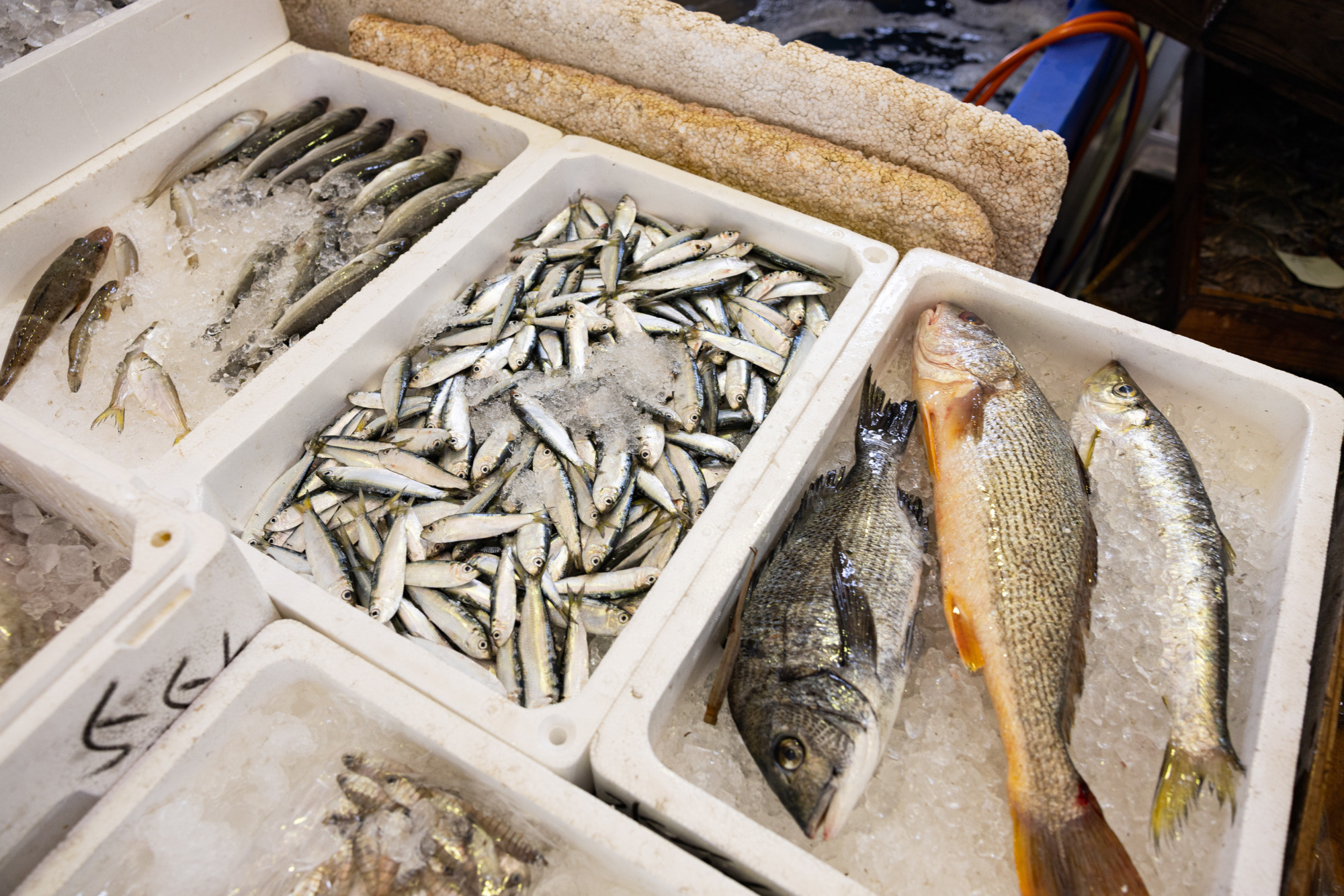 笠岡市大島美の浜漁協朝市での盆競りの様子