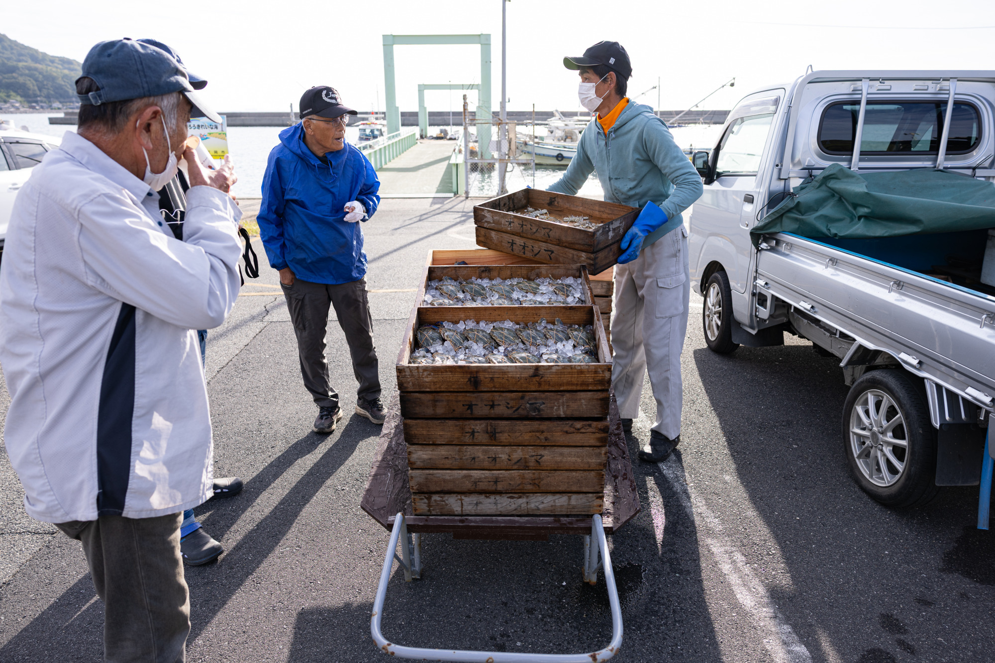 笠岡市大島美の浜漁協には朝から続々と漁師さんが旬の魚を届けに来ます