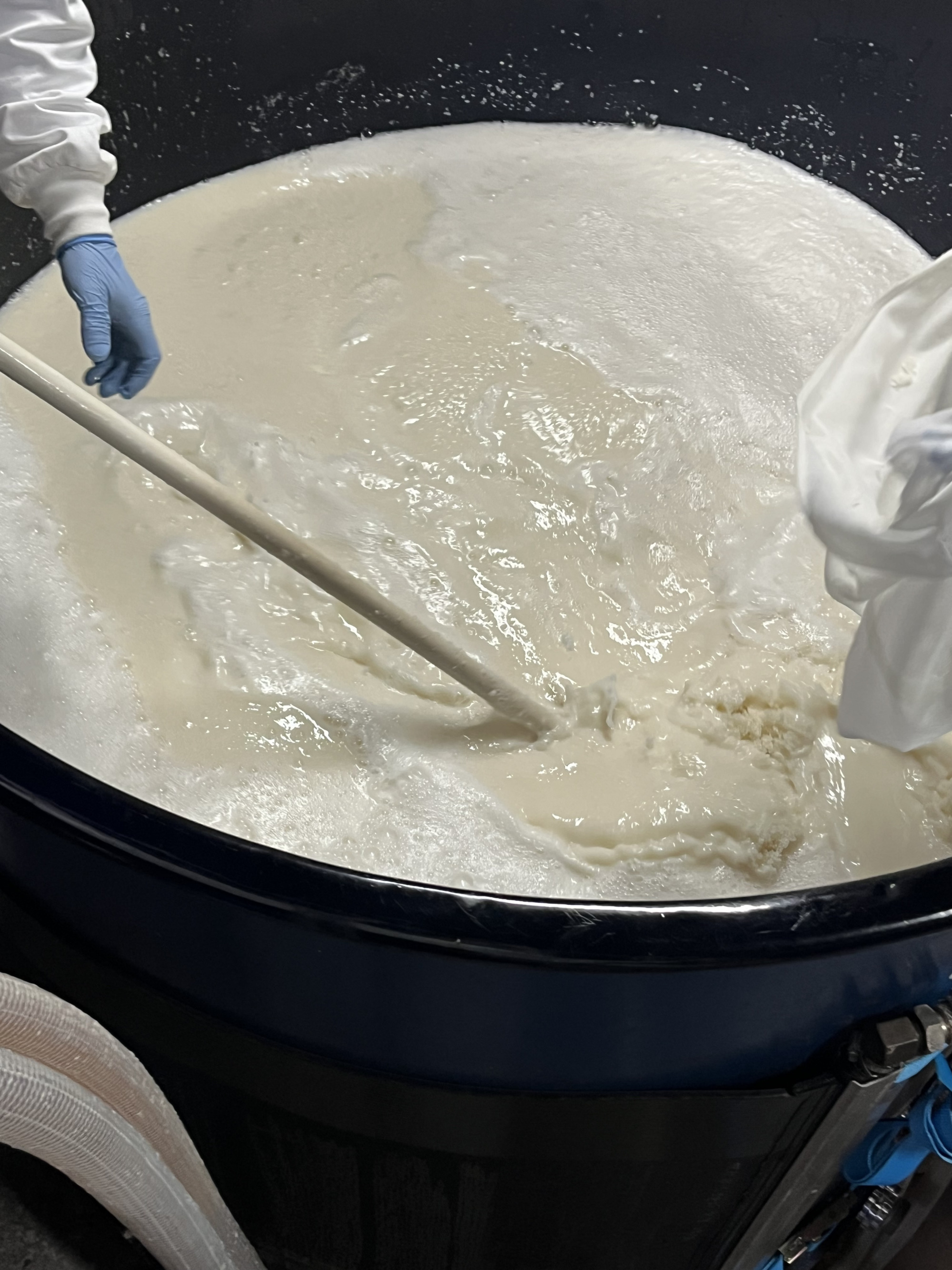 写真提供:辻本店