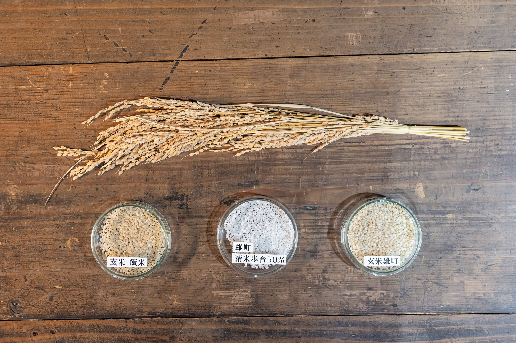 写真提供:辻本店