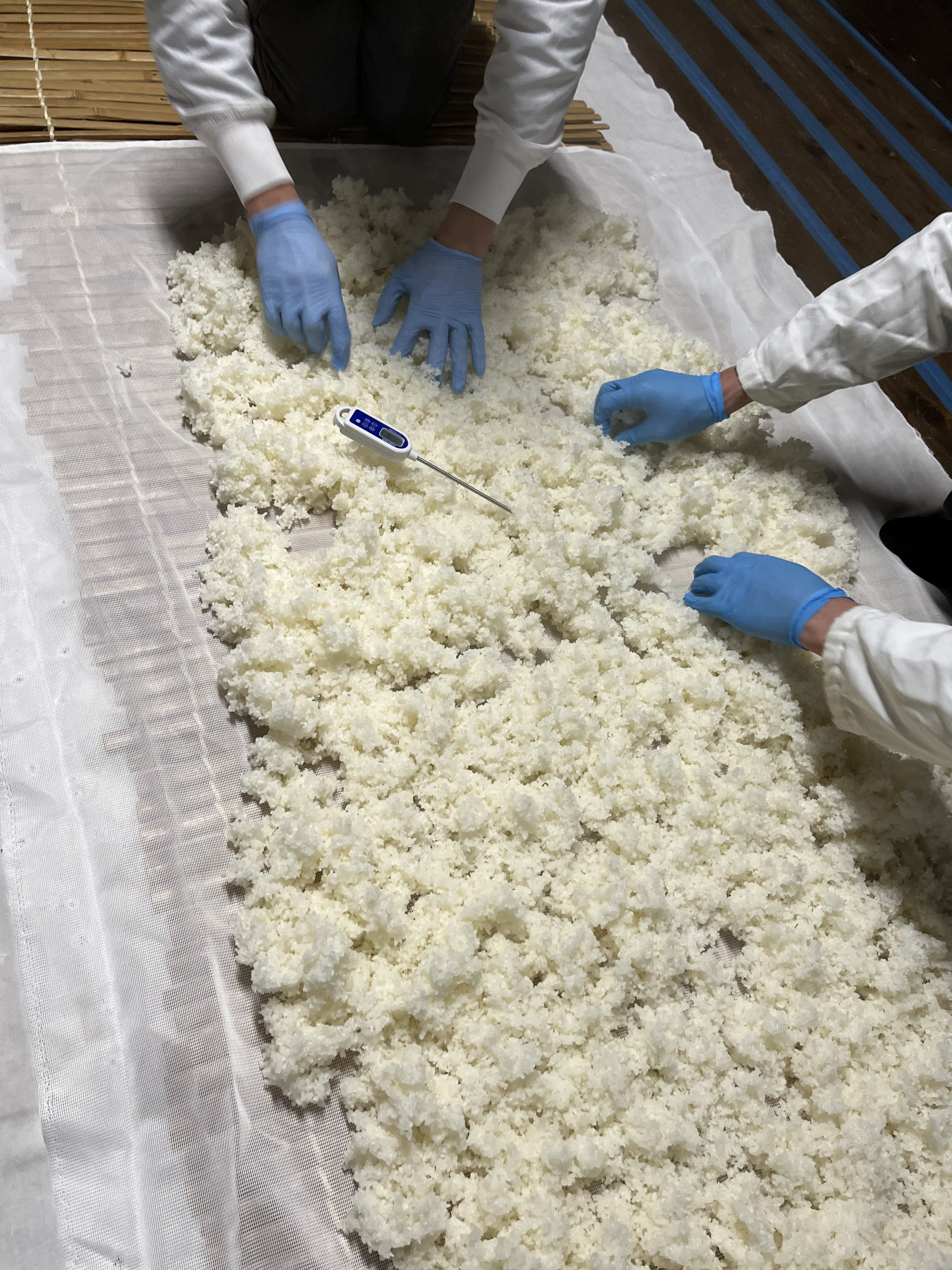 蔵の中で、杜氏をはじめスタッフ総出で麹を仕込む。