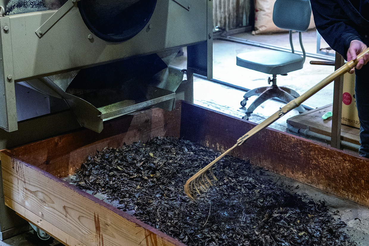 ⑥香りが飛ばないように出荷前に焙煎したら、美作番茶の完成です。