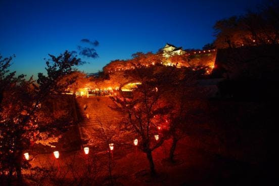 ライトアップされた津山城(鶴山公園)