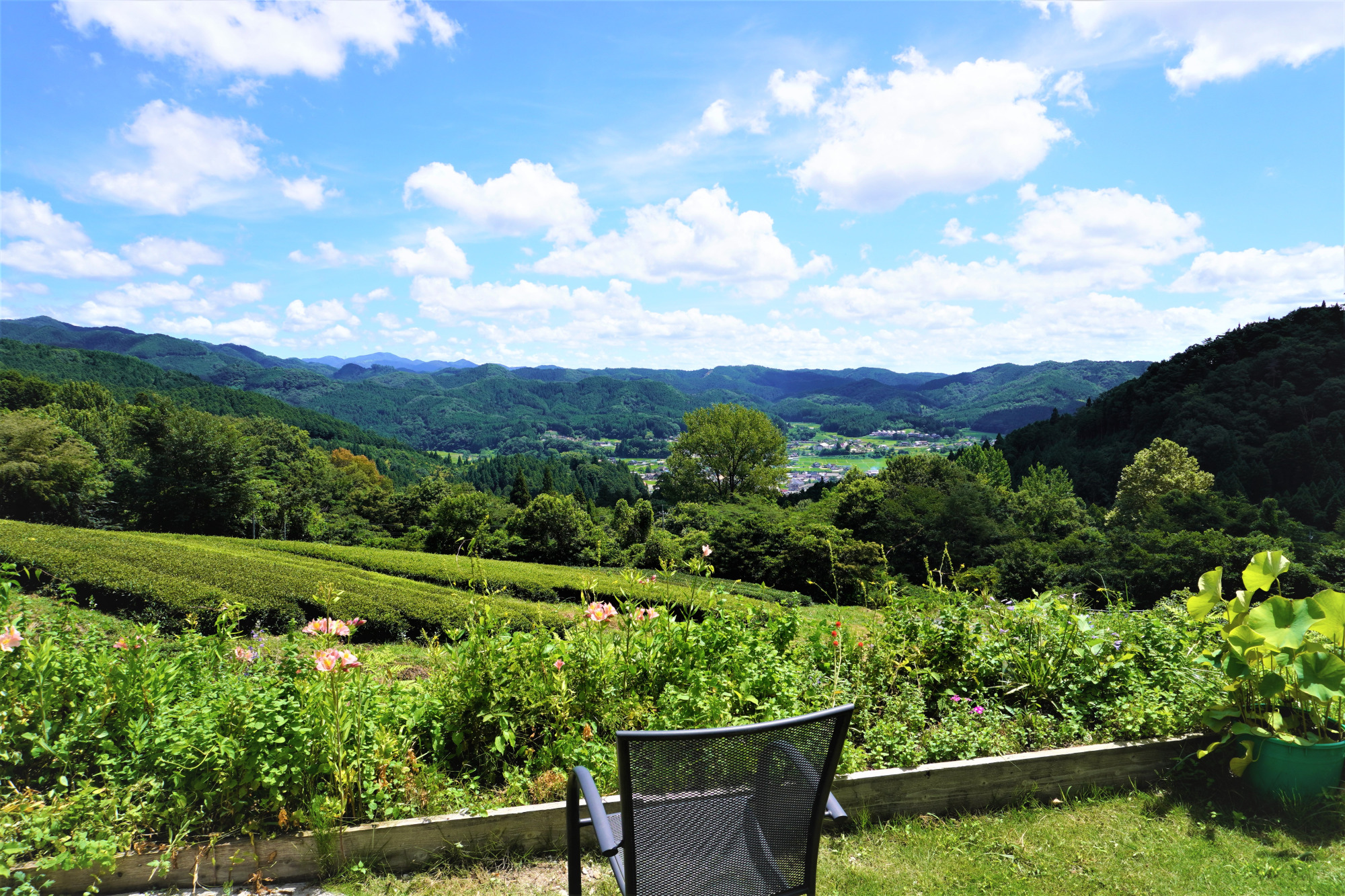 アーリーモーニング