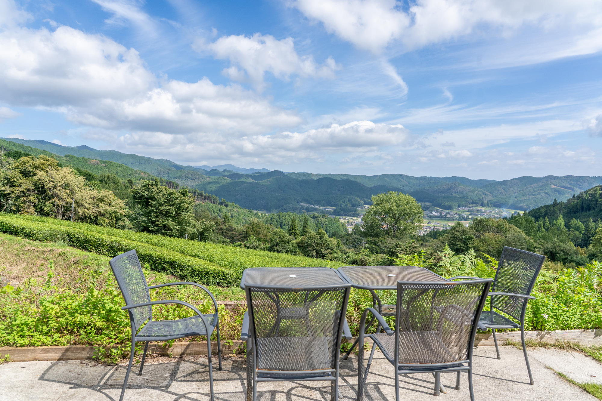 アーリーモーニング