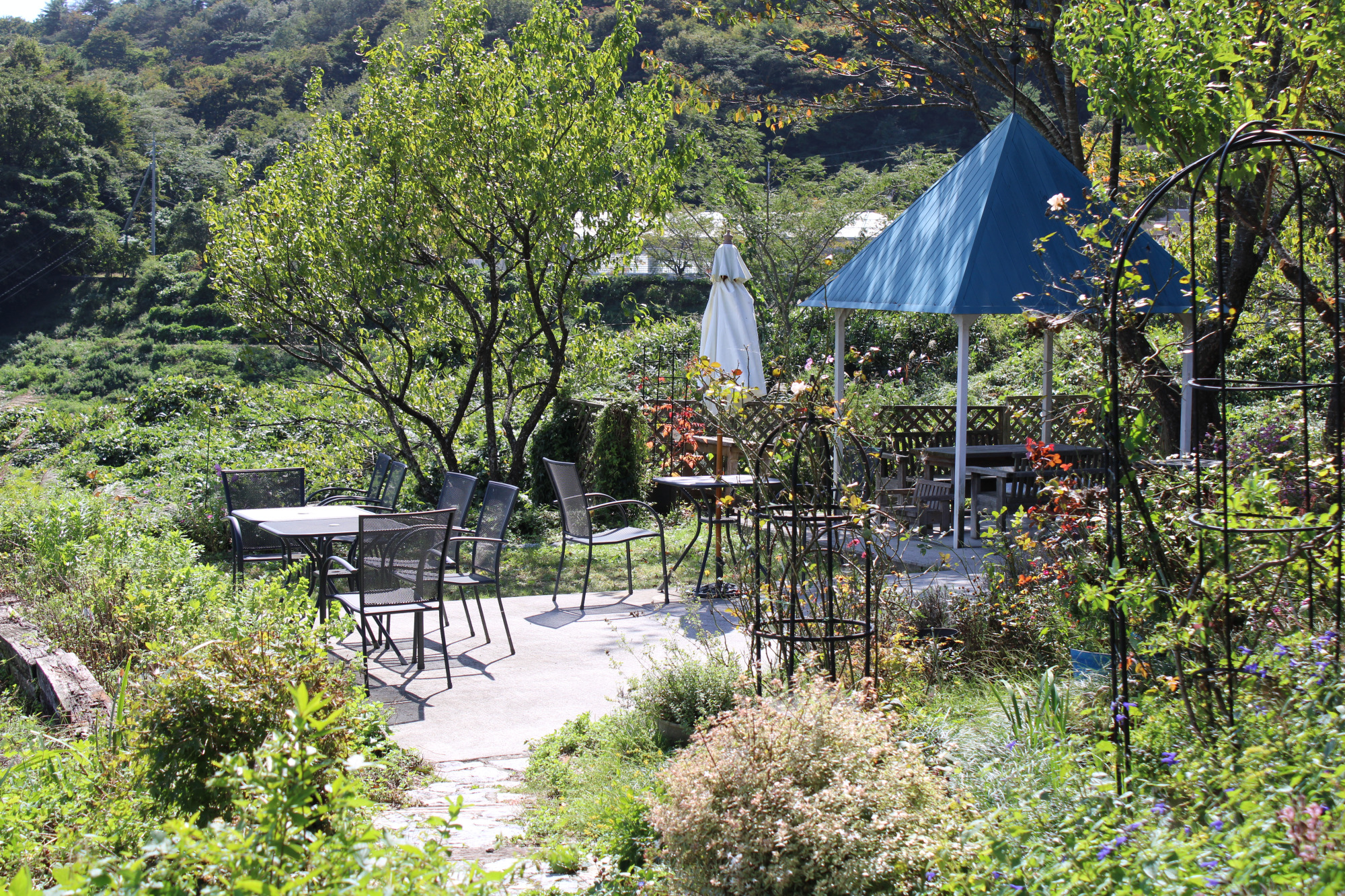 アーリーモーニング