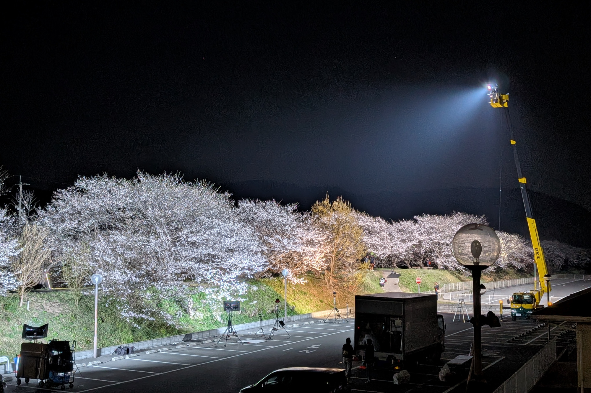 撮影風景:砂川桜並木