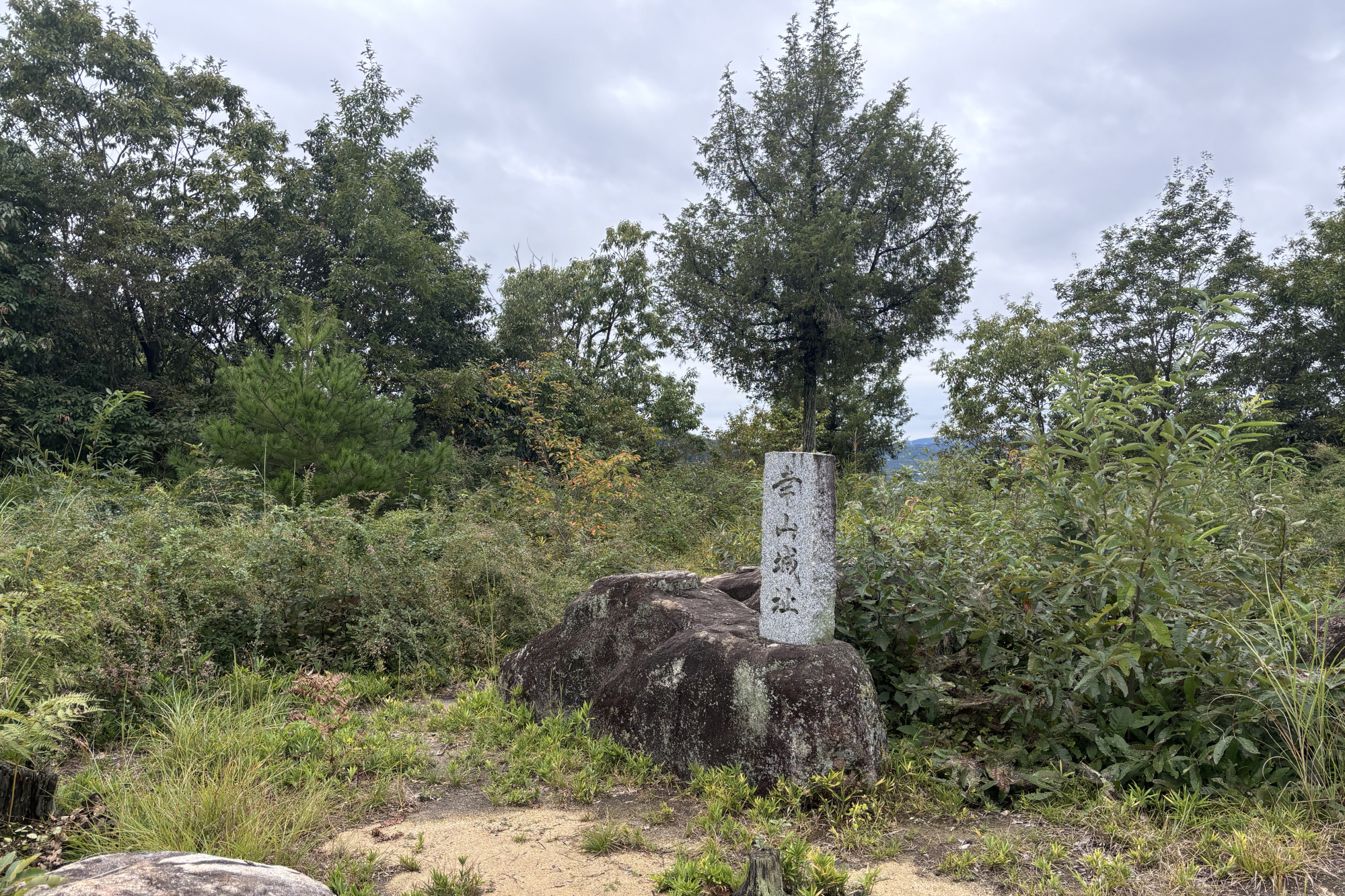 幸山城の本丸。