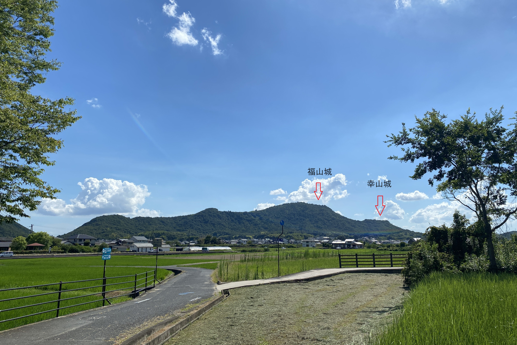国分寺から眺める福山城と幸山城。