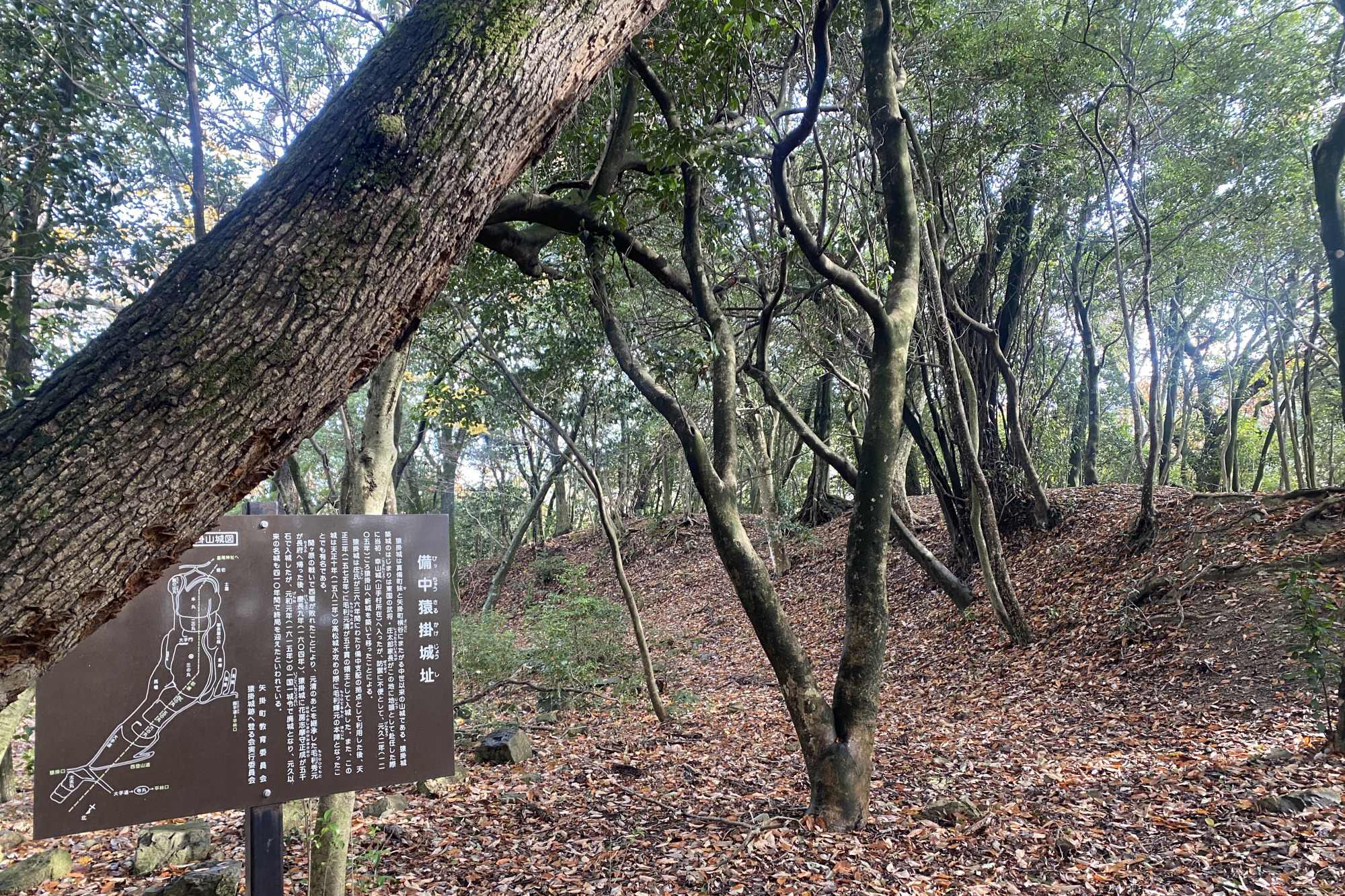 ぐるりと土塁に囲まれた本丸。背後には、敵を防ぐための「堀切」が残っています。 守りを厳重にしている様子がよくわかります。