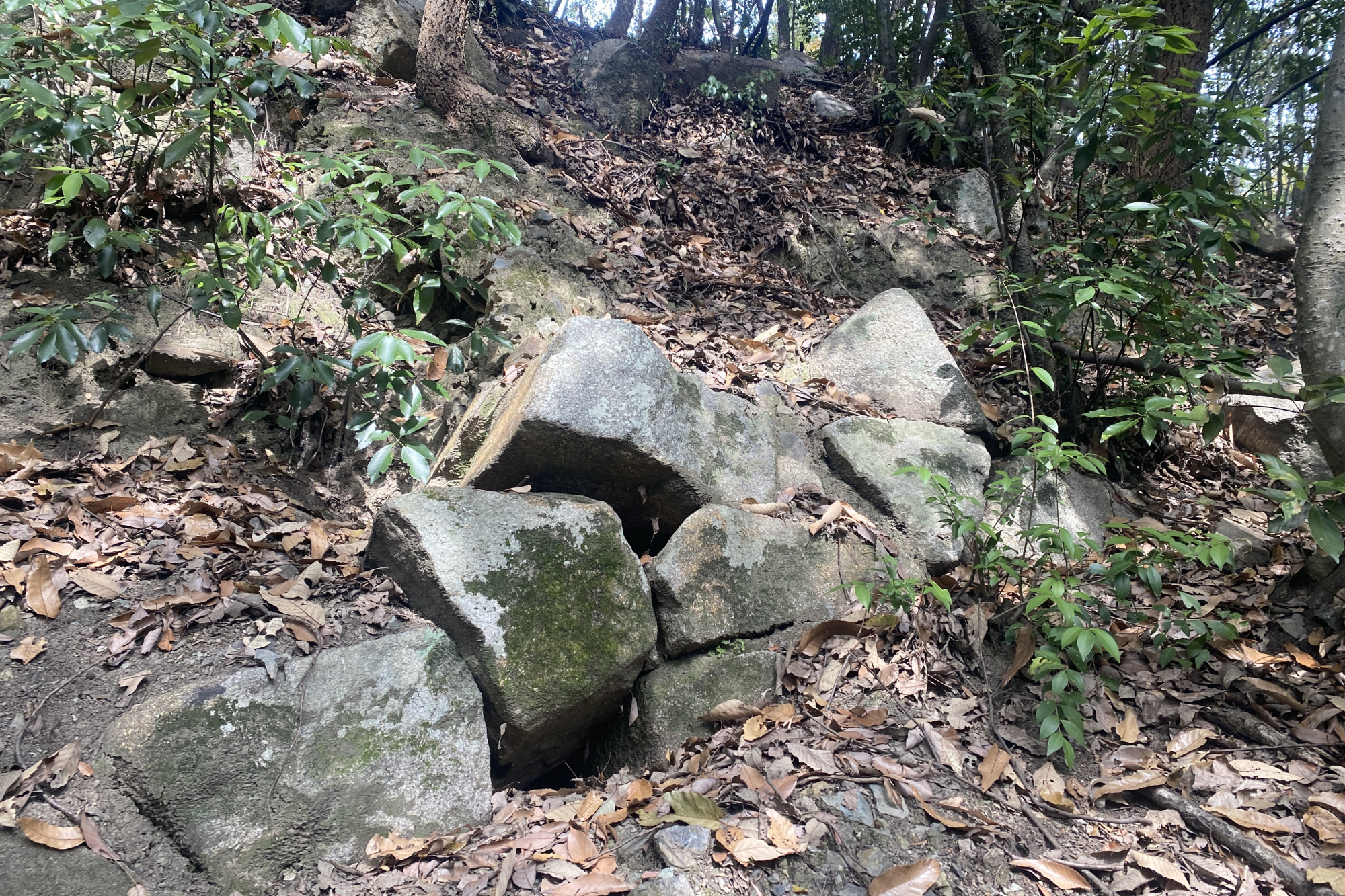 本丸の斜面に残る石垣。