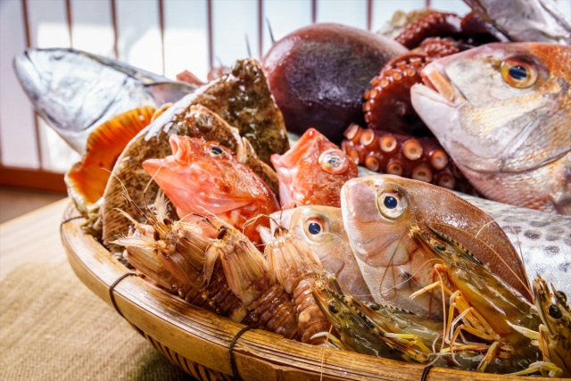 岡山に行ったら絶対食べたい！瀬戸内の魚7選（春～初夏編）