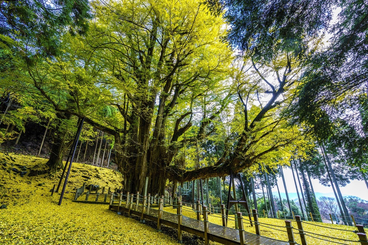 思わず写真に納めたくなる！奈義町の絶景スポット6選