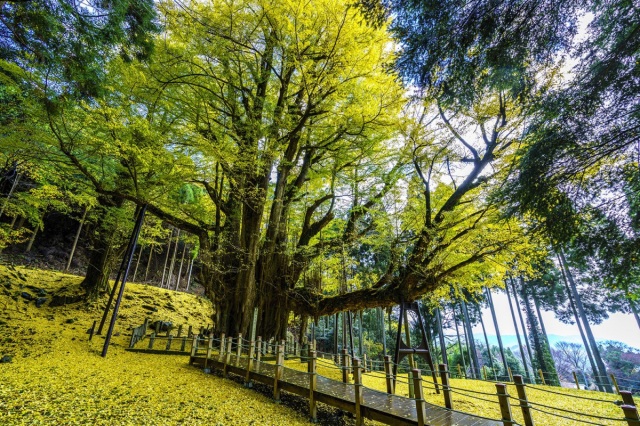 思わず写真に納めたくなる！奈義町の絶景スポット6選