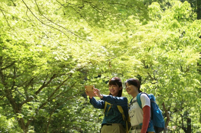 行って良かった！四季折々の景色が素晴らしい里山ウォークと健康グルメ（鏡野町）