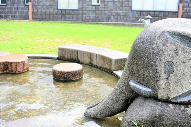 たのしい涼しい！安心して過ごせる水あそびスポット６選