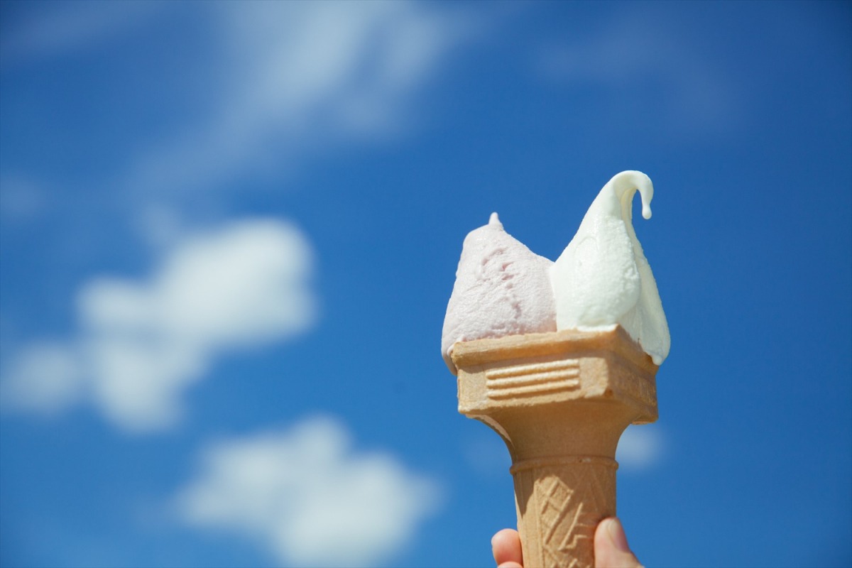 暑い夏をクールダウン！わざわざ食べに行きたい岡山の牧場ジェラート5選